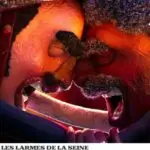Les larmes de la Seine