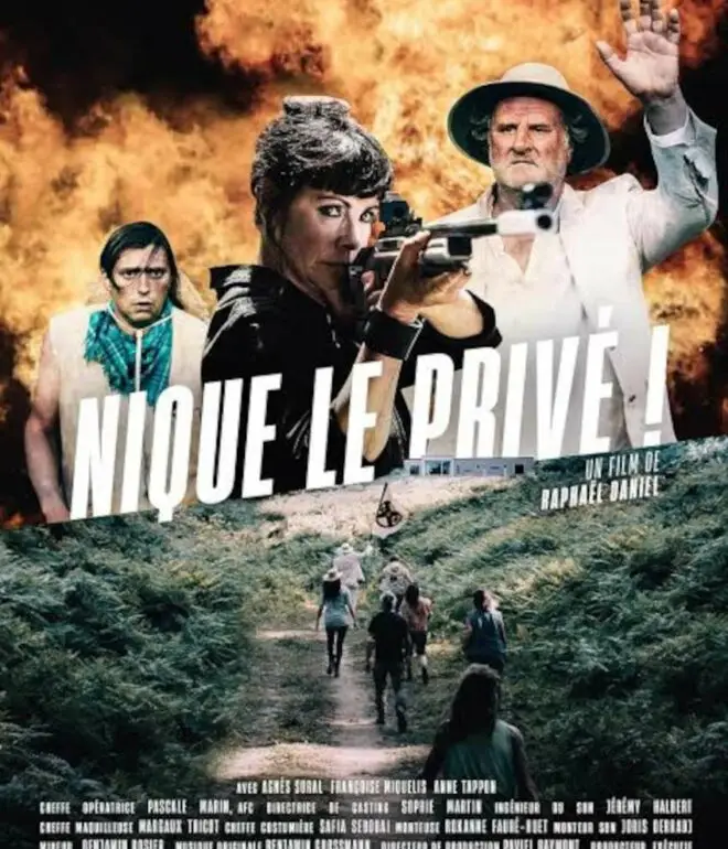 affiche film nique le privé