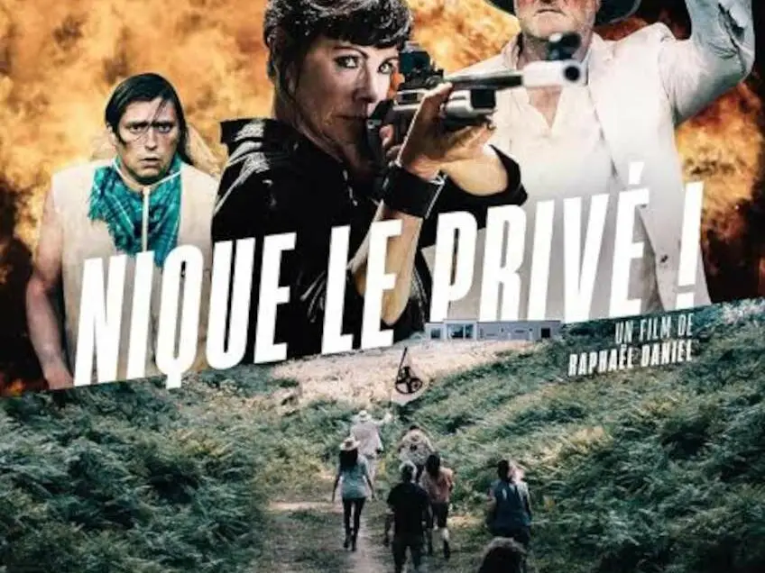 affiche film nique le privé